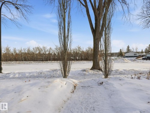 6408 84 Street, Edmonton, AB - Outdoor With View