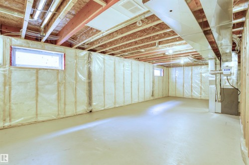 21328 95 Avenue, Edmonton, AB - Indoor Photo Showing Basement