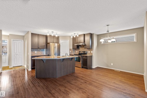 21328 95 Avenue, Edmonton, AB - Indoor Photo Showing Kitchen With Upgraded Kitchen
