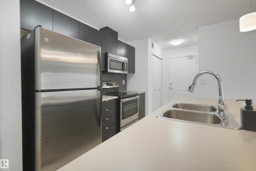 114 3357 16A Avenue, Edmonton, AB - Indoor Photo Showing Kitchen With Double Sink