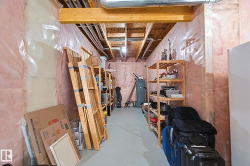 766 Hardy Point(E), Edmonton, AB - Indoor Photo Showing Basement