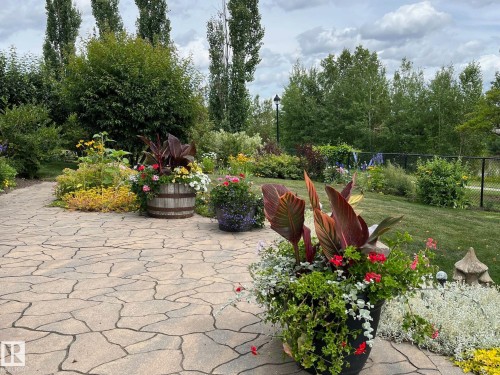 766 Hardy Point(E), Edmonton, AB - Outdoor