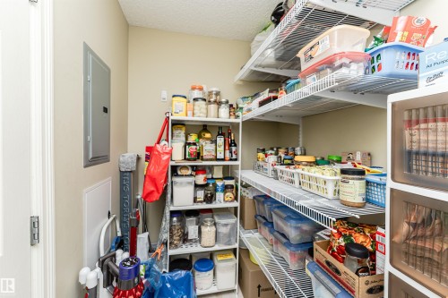 Pantry with electric panel - 314 4403 23 Street, Edmonton, AB - Indoor With Storage