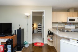Kitchen with light countertops, white appliances, light wood finish cabinetry, dark wood-style floors, and a textured ceiling - 