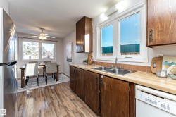 Kitchen with freestanding refrigerator, dishwasher, light countertops, light wood-type flooring, and dark brown cabinetry - 