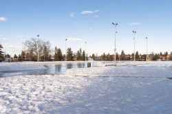 Surrounding community - 