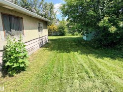 Expansive grassy yard with mature trees and a detached shed - 