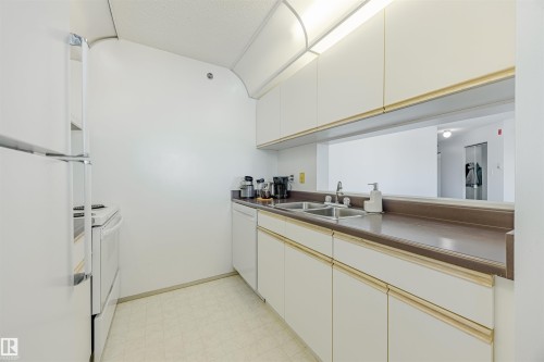 401 11218 80 Street, Edmonton, AB - Indoor Photo Showing Kitchen With Double Sink