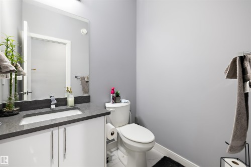 4223 Veterans Way, Edmonton, AB - Indoor Photo Showing Bathroom