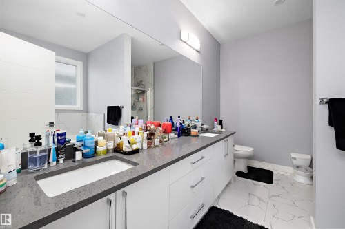 4223 Veterans Way, Edmonton, AB - Indoor Photo Showing Bathroom