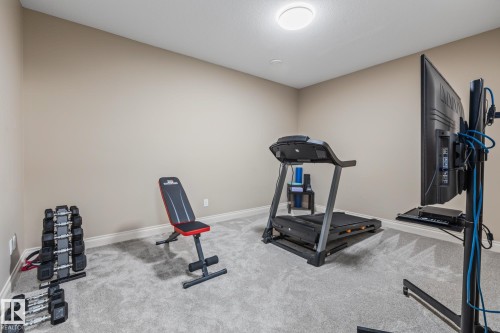 20 Lafleur Drive, St. Albert, AB - Indoor Photo Showing Gym Room