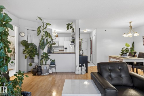 404 11207 116 Street, Edmonton, AB - Indoor Photo Showing Living Room