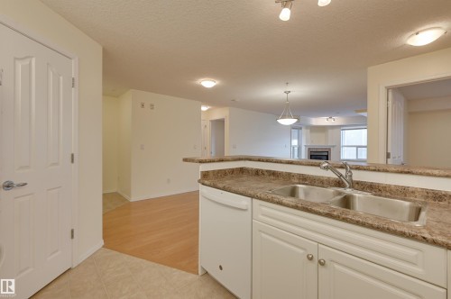 336 9008 99 Avenue, Edmonton, AB - Indoor Photo Showing Kitchen With Double Sink