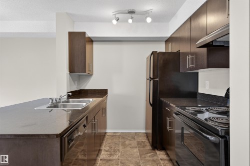 209 530 Watt Boulevard, Edmonton, AB - Indoor Photo Showing Kitchen With Double Sink