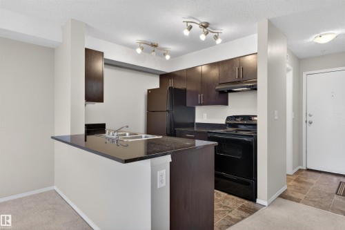209 530 Watt Boulevard, Edmonton, AB - Indoor Photo Showing Kitchen With Double Sink