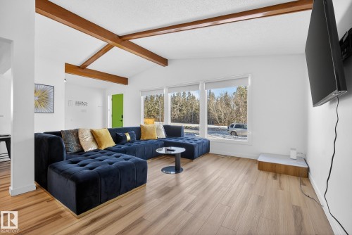 9616 64 Street, Edmonton, AB - Indoor Photo Showing Living Room