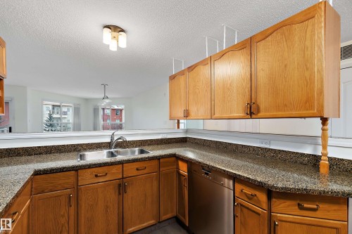 409 10221 111 Street, Edmonton, AB - Indoor Photo Showing Kitchen With Double Sink