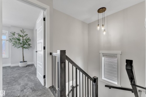 Hallway with an upstairs landing and carpet - 7613 16 Av Sw, Edmonton, AB - Indoor Photo Showing Other Room