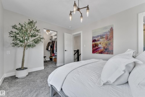Bedroom with a spacious closet, carpet, and suspended lighting - 7613 16 Av Sw, Edmonton, AB - Indoor Photo Showing Bedroom
