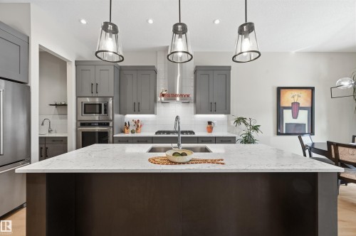 4605 Knight Point(E), Edmonton, AB - Indoor Photo Showing Kitchen With Double Sink With Upgraded Kitchen