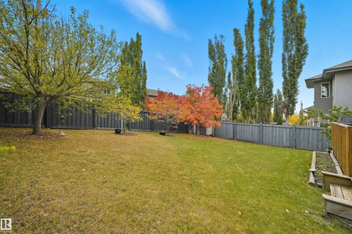3411 Macneil Link, Edmonton, AB - Outdoor With Backyard