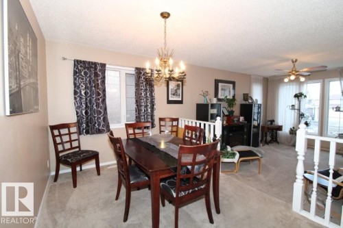 Carpeted dining room with a textured ceiling, a ceiling fan, healthy amount of natural light, and hanging lights - 2812 35 Street Nw, Edmonton, AB - Indoor Photo Showing Dining Room