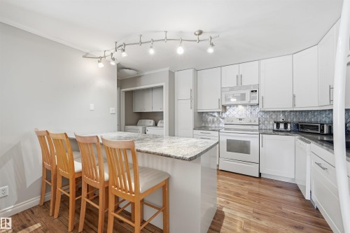 204 14810 51 Avenue, Edmonton, AB - Indoor Photo Showing Kitchen