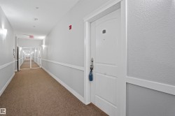 Hall with carpet and a textured wall - 