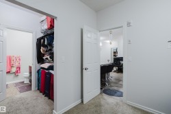 Walk in closet featuring light carpet - 