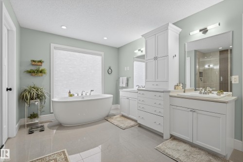 3687 Westcliff Way, Edmonton, AB - Indoor Photo Showing Bathroom