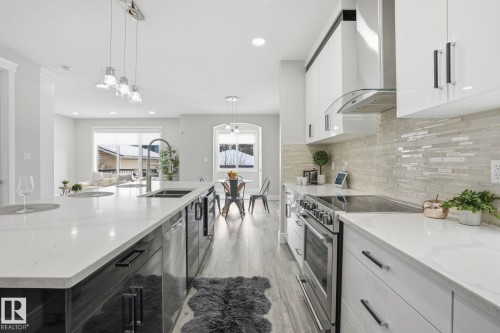 10633 64 Avenue, Edmonton, AB - Indoor Photo Showing Kitchen With Double Sink With Upgraded Kitchen