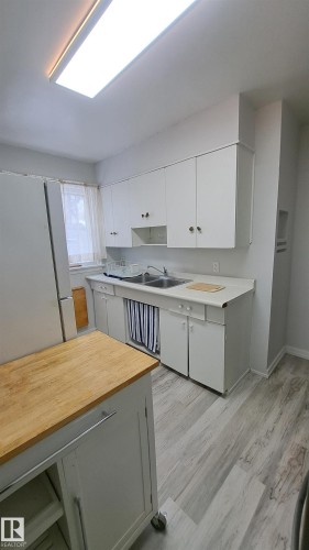 10830 68 Avenue, Edmonton, AB - Indoor Photo Showing Kitchen With Double Sink