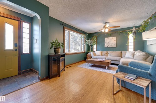 Living room featuring wood-type flooring, a ceiling fan, and a textured ceiling - 10911 66 Avenue, Edmonton, AB - Indoor Photo Showing Living Room