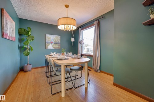 Dining area with light wood-type flooring and a textured ceiling - 10911 66 Avenue, Edmonton, AB - Indoor Photo Showing Dining Room