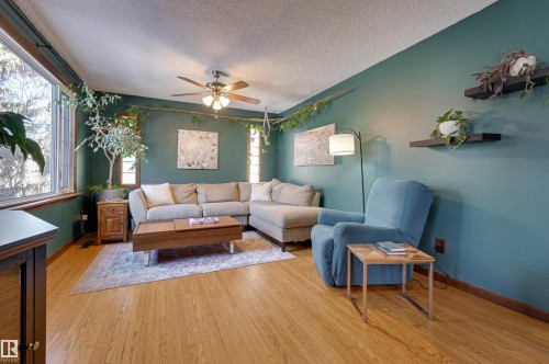 Living area with a ceiling fan, light wood-style flooring, and a textured ceiling - 10911 66 Avenue, Edmonton, AB - Indoor Photo Showing Living Room