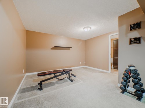 3204 113B Street, Edmonton, AB - Indoor Photo Showing Gym Room