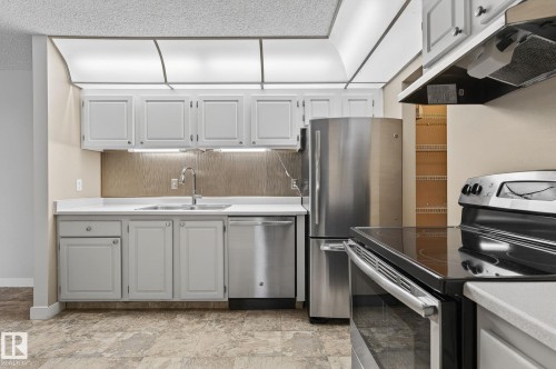 1106 Saddleback Road, Edmonton, AB - Indoor Photo Showing Kitchen With Stainless Steel Kitchen
