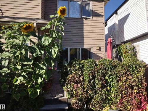 View of exterior entry - 10535 67 Avenue, Edmonton, AB - Outdoor