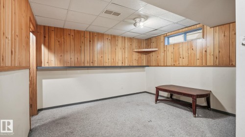 Below grade area featuring wooden walls, light carpet, a drop ceiling, and a wainscoted wall - 1509 Jarvis Cr, Edmonton, AB - Indoor Photo Showing Other Room
