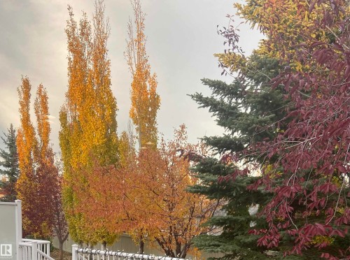 2218 Leger Court, Edmonton, AB - Outdoor