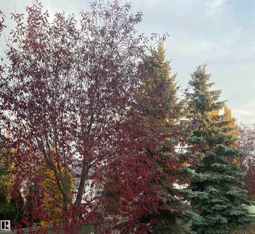 2218 Leger Court, Edmonton, AB - Outdoor