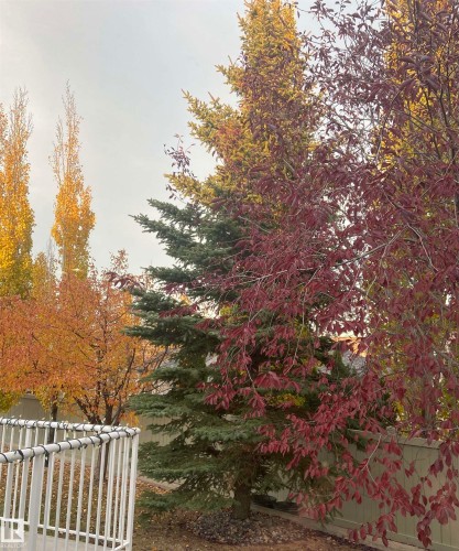 2218 Leger Court, Edmonton, AB - Outdoor