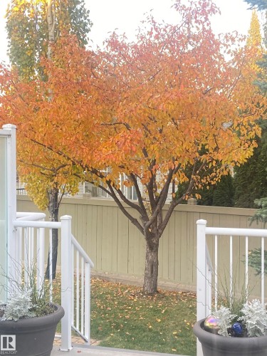 2218 Leger Court, Edmonton, AB - Outdoor