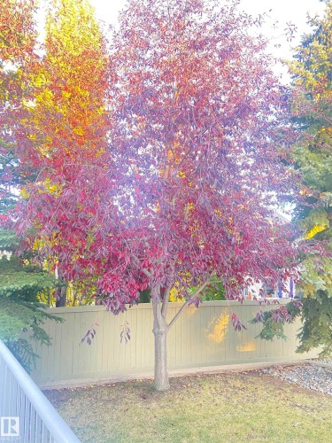 2218 Leger Court, Edmonton, AB - Outdoor