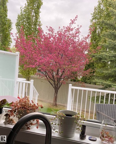 2218 Leger Court, Edmonton, AB - Outdoor