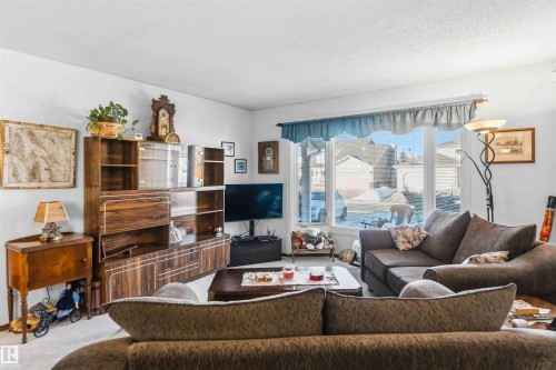 Living area with a textured ceiling and carpet floors - 17619 94 Ave, Edmonton, AB - Indoor Photo Showing Living Room