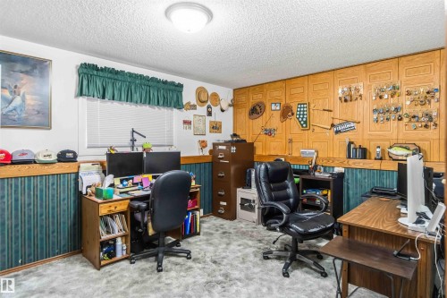 Carpeted home office with a textured ceiling and wooden walls - 17619 94 Ave, Edmonton, AB - Indoor Photo Showing Office