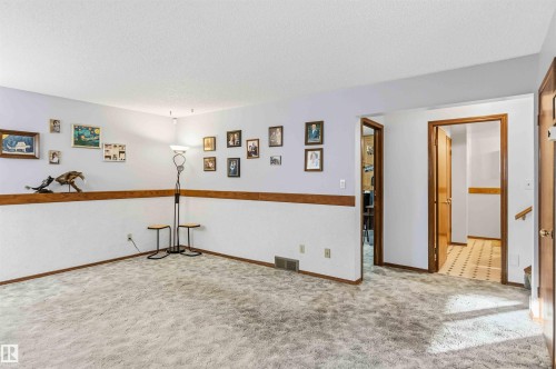 Spare room with a textured ceiling and carpet - 17619 94 Ave, Edmonton, AB - Indoor Photo Showing Other Room