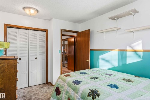 Bedroom with carpet, a closet, and a textured ceiling - 17619 94 Ave, Edmonton, AB - Indoor Photo Showing Bedroom