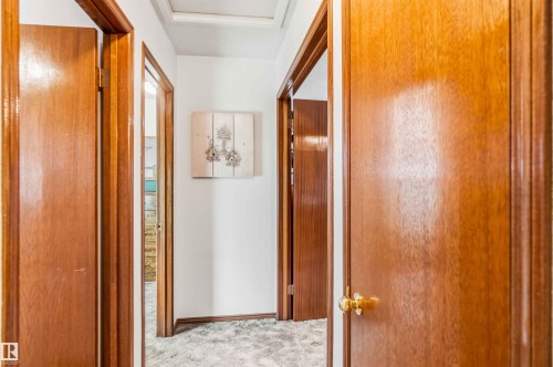 Corridor with carpet flooring and baseboards - 17619 94 Ave, Edmonton, AB - Indoor Photo Showing Other Room